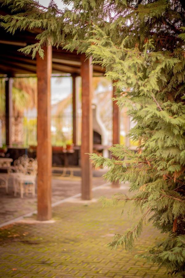 Bed & Breakfast Kalinka Bed & Breakfast Motta Sant' Anastasia Luaran gambar